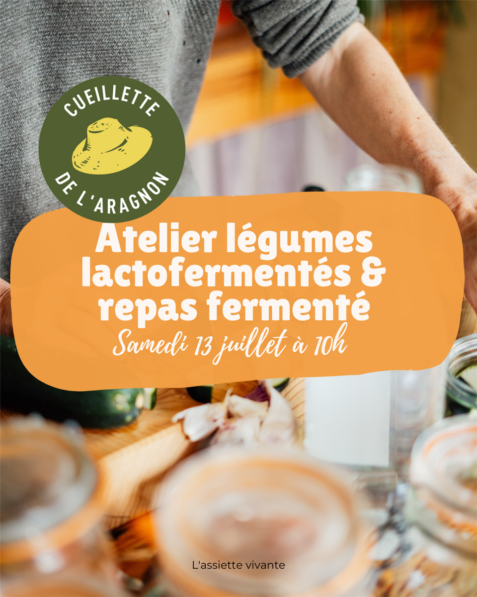 Atelier lacto-fermentation