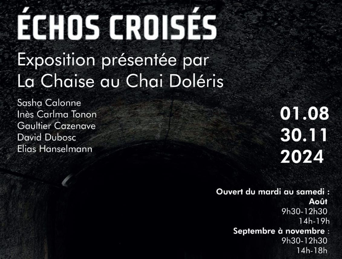 Exposition "Echos croisés" par La Chaise, au C ...