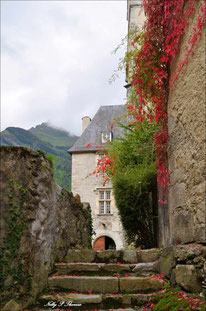 Visite du château et de l'église de Béost - Jo ...