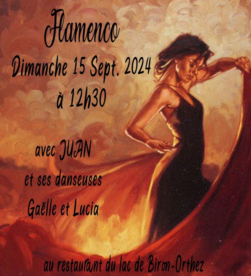 Spectacle flamenco