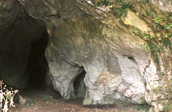 De Lascaux au bassin d'Arudy