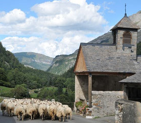 La Chapelle de Gabas, visite commentée - Journ ...