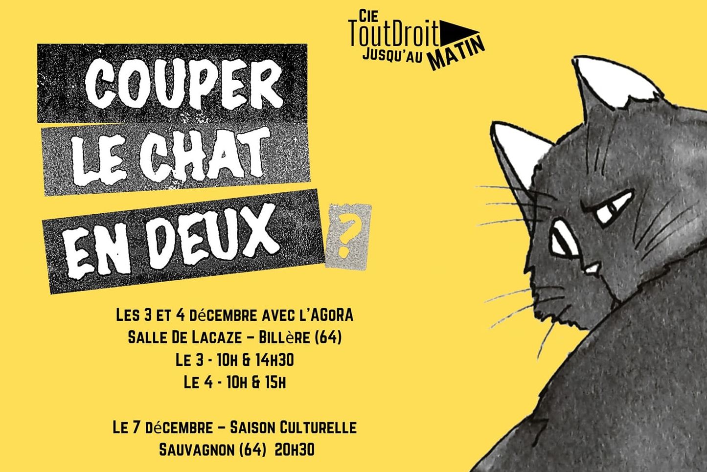 Théâtre "Couper le chat en deux ?"