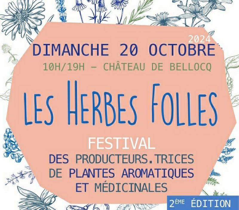 Festival : Les Herbes folles