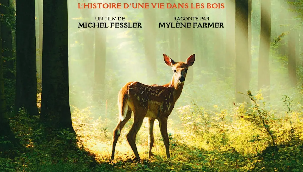 Cinéma Arudy : Bambi, l'histoire d'une vie dan ...