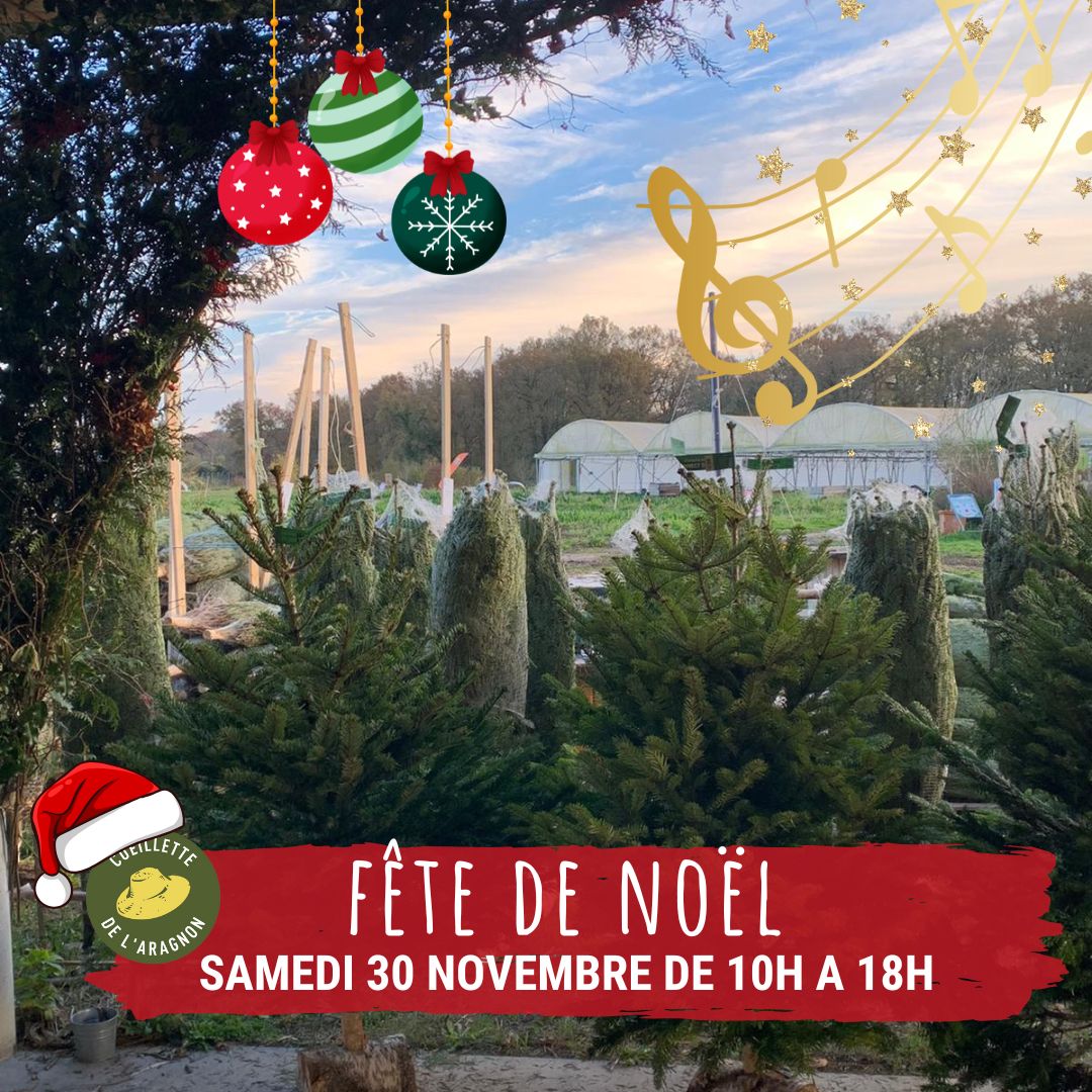 Noël à la Cueillette de l'Aragnon