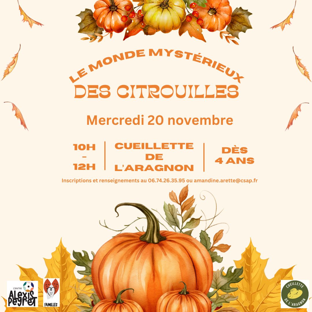 Le monde mystérieux des citrouilles, à la cuei ...