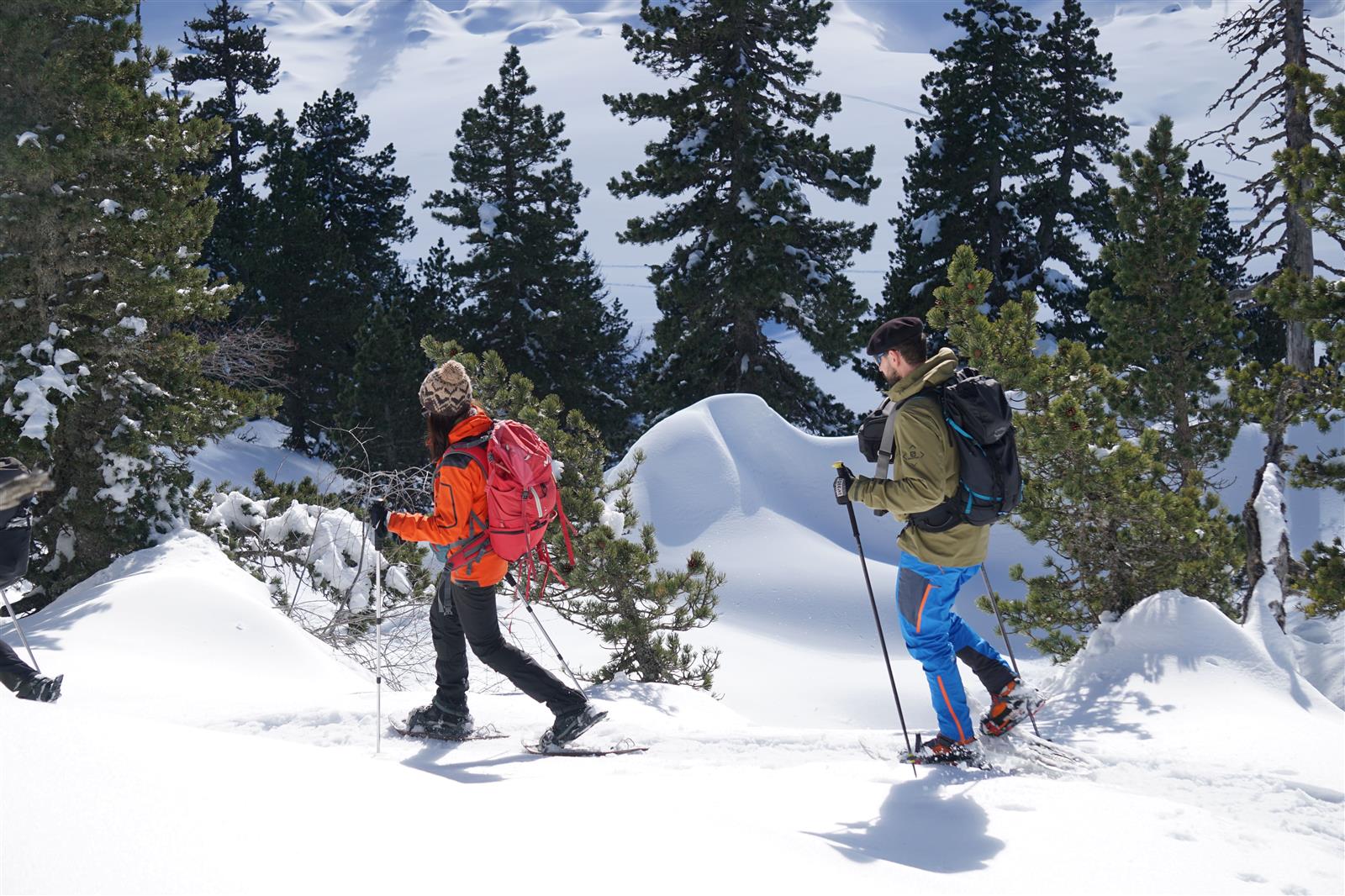 Balade accompagnée en raquettes à neige à la P ...