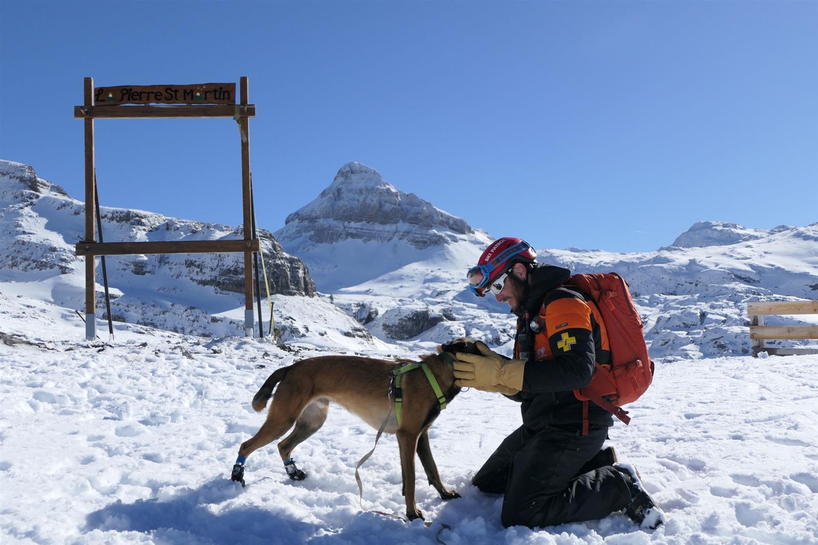 Démonstration de recherche avec un chien d’ava ...