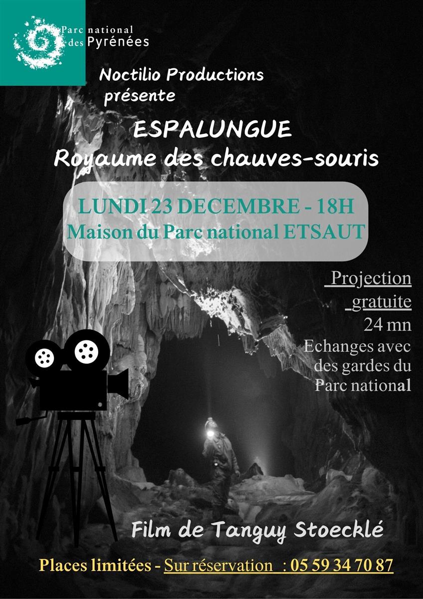 Projection : documentaire "Espalungue-royaume  ...