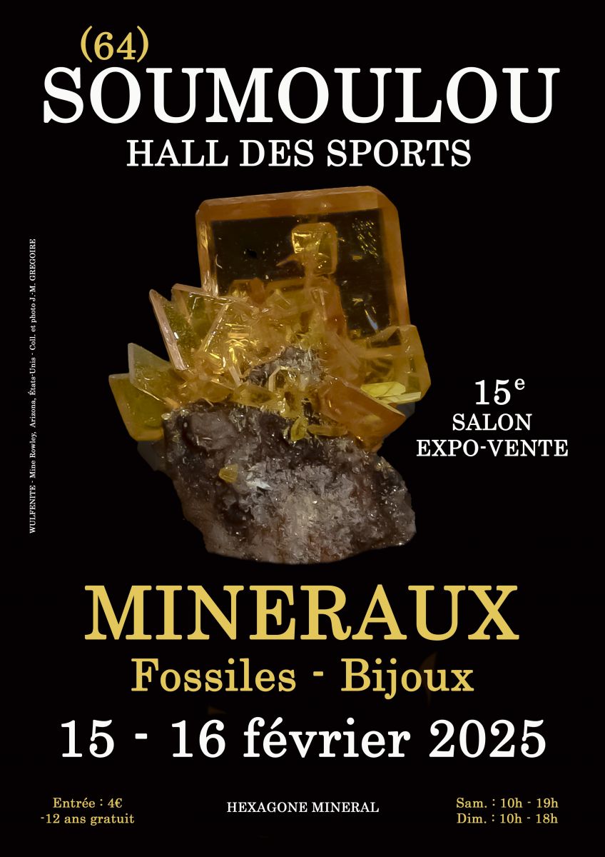 15e SALON MINERAUX FOSSILES BIJOUX de SOUMOULO ...