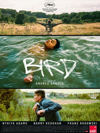 Cinéma Arudy : Bird VOSTFR