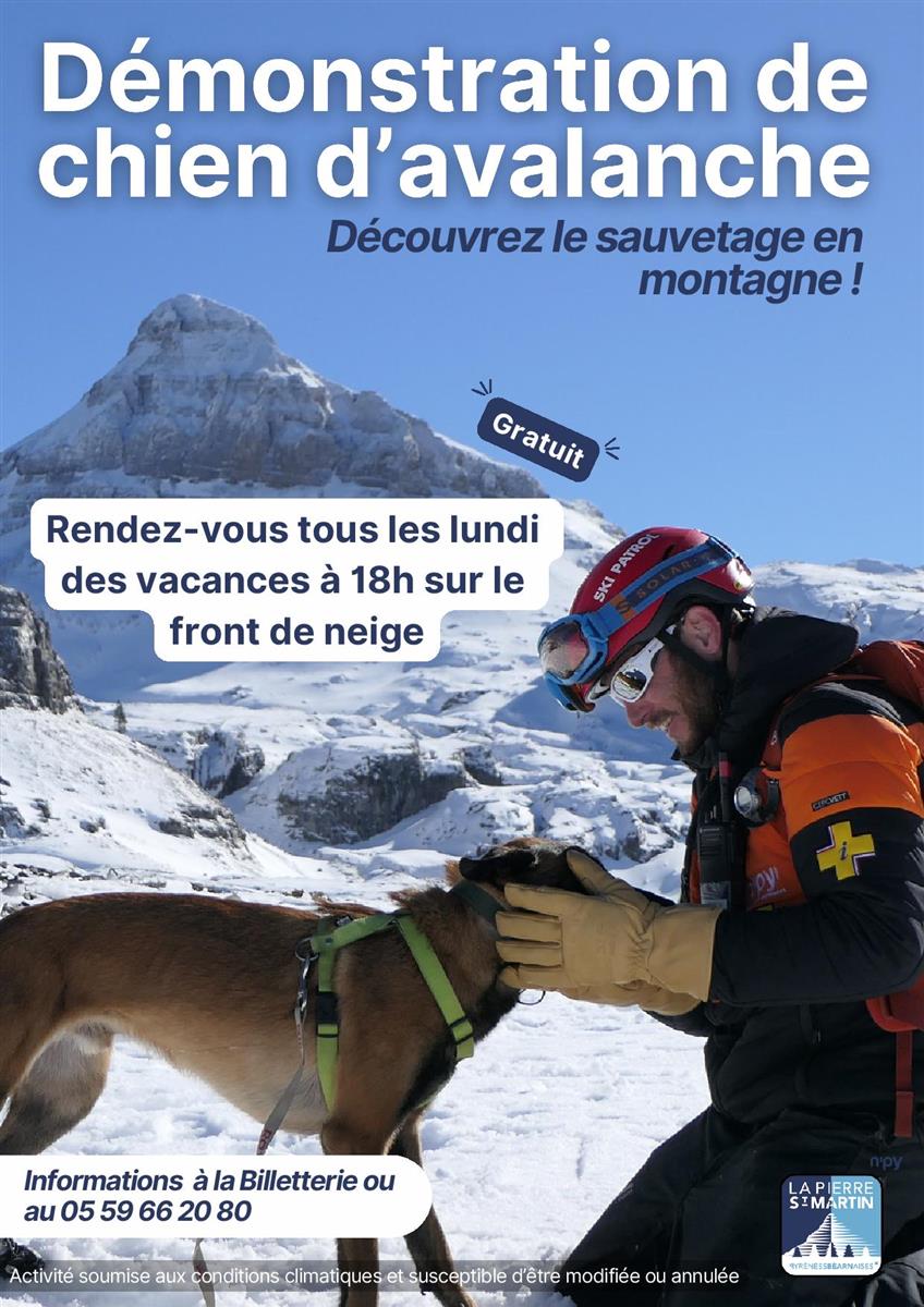 Démonstration de recherche avec un chien d’ava ...