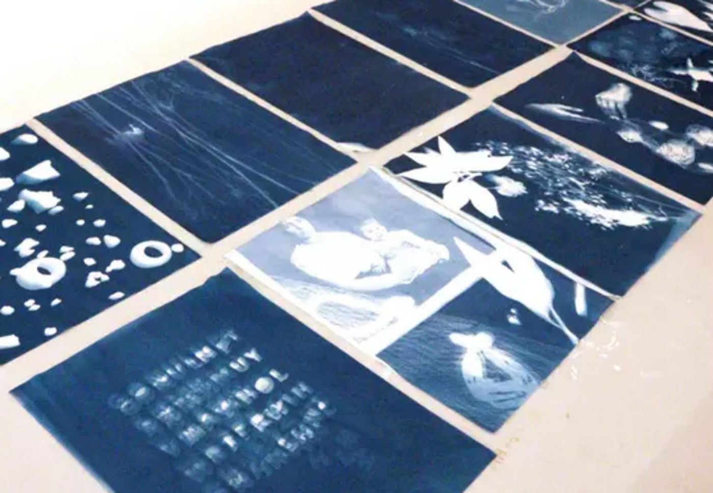 Atelier : Cyanotype