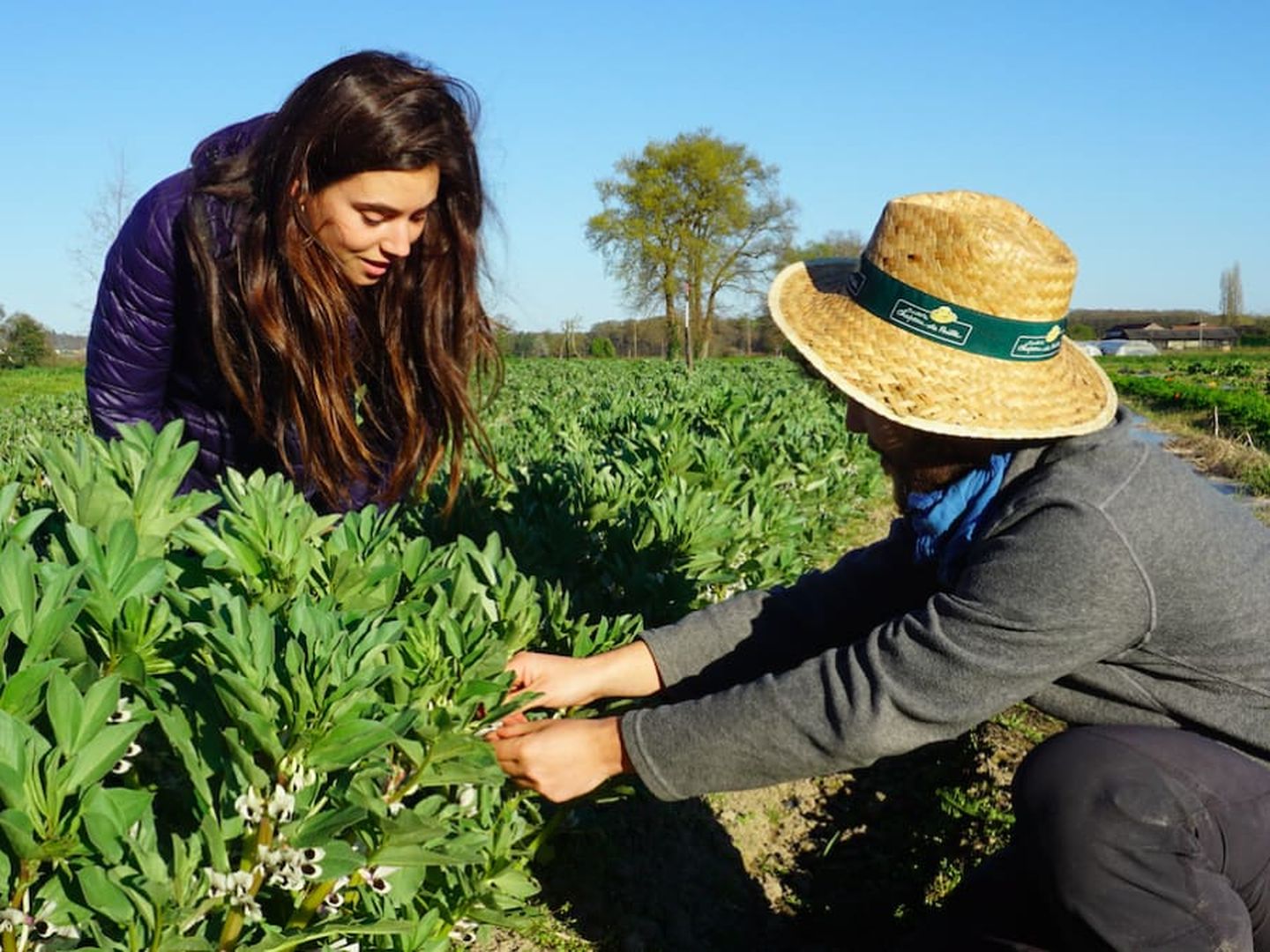 Atelier initiation aux plantes sauvages comest ...