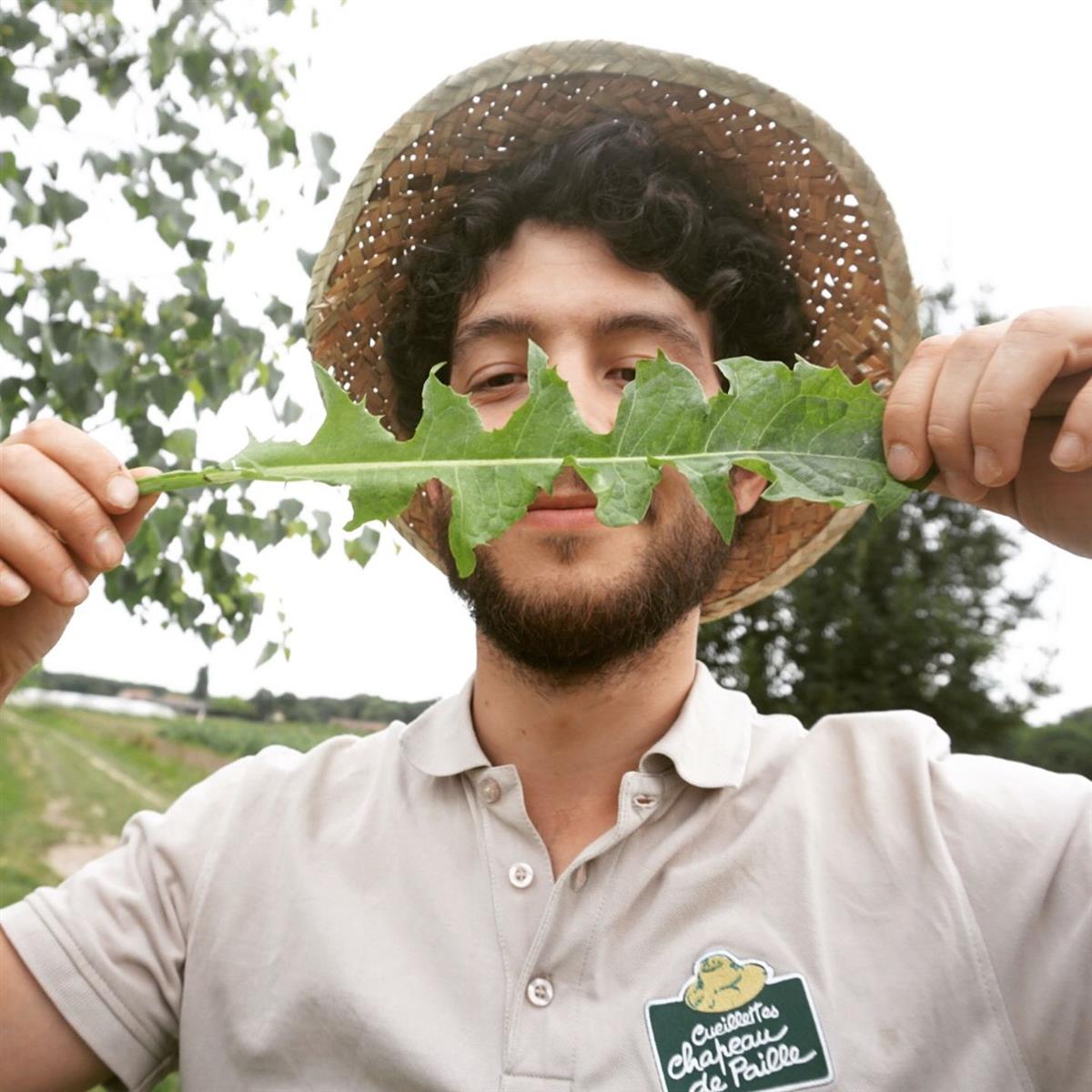 Atelier plantes sauvages comestibles, à la Cue ...