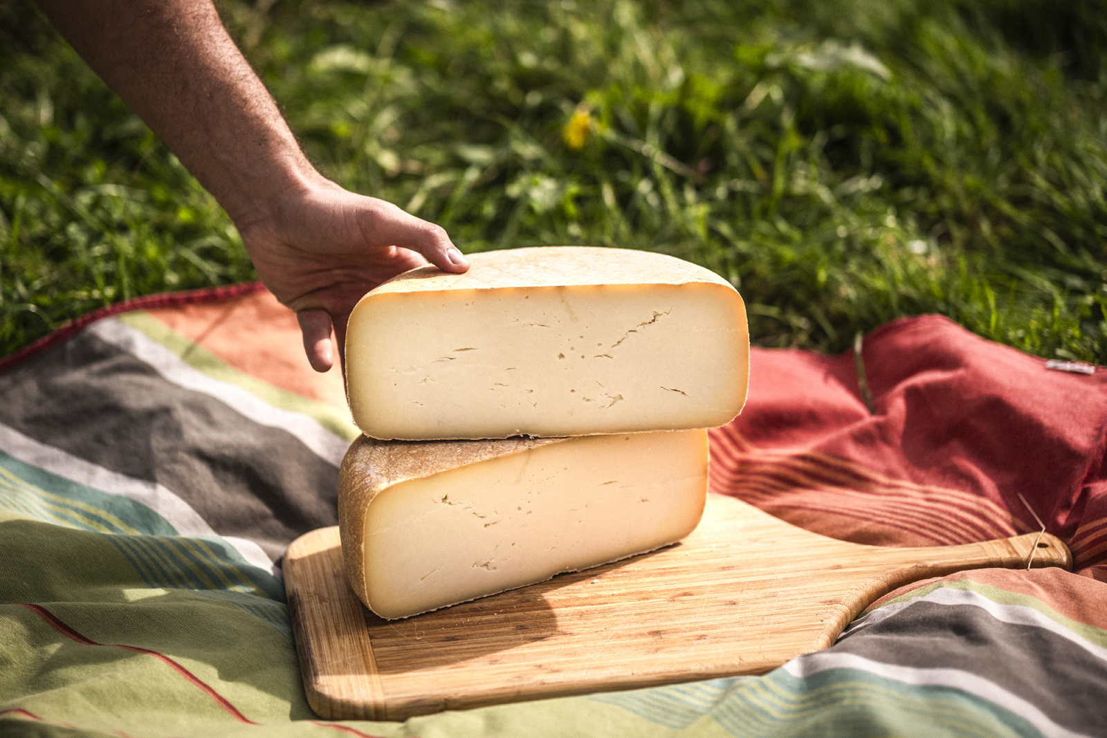 Les Fermiers du Béarn